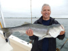 Live bait produces stripers on the Merrimack River